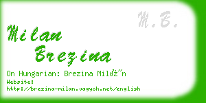 milan brezina business card